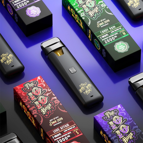 elfbar elfa kaufen The 10/10 Boys Premium THC Disposable Vape
